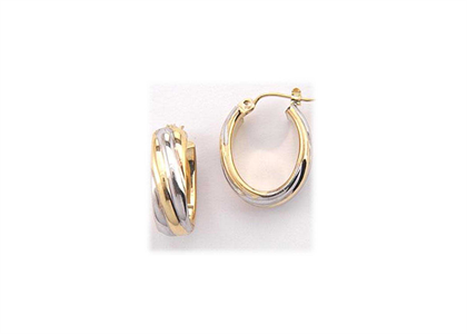 Dual Tone Plated | Fashion Earrings